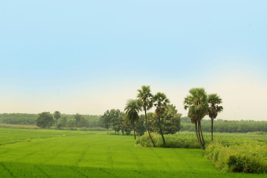 how to reach Mantralayam from Kurnool